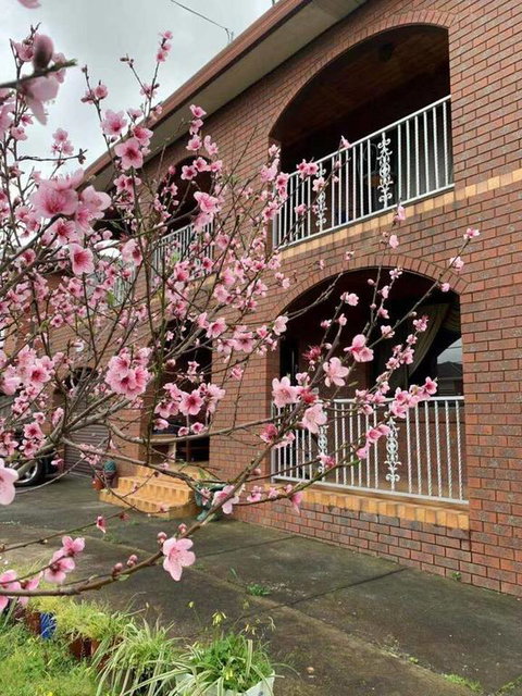 Thomastown Antique House Room 3 - Accommodation Kalgoorlie 3