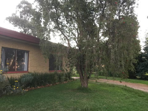 Tree Of Love Farm Stay - Accommodation Kalgoorlie 1