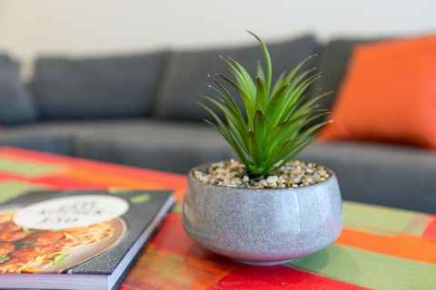 Urban Jungle! Executive Apartment In Heart Of CBD - Accommodation Kalgoorlie 1