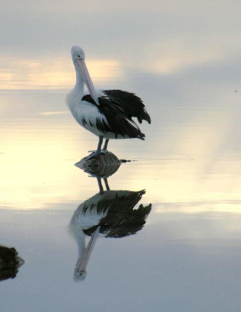 Wanderers Rest Of Kangaroo Island - Accommodation Kalgoorlie 3
