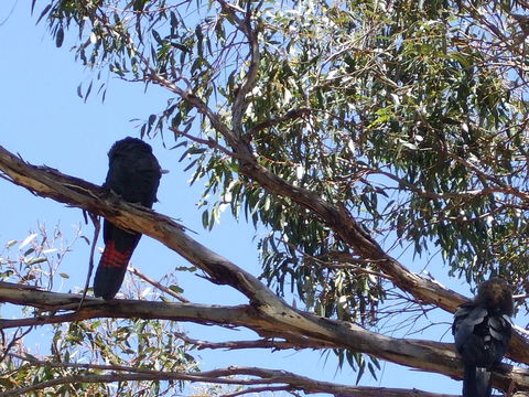 Wanderers Rest Of Kangaroo Island - Accommodation Kalgoorlie 2