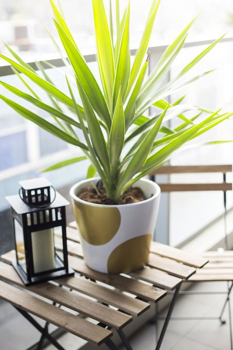 Complete Host 50 Claremont St Apartments - Accommodation Kalgoorlie 6