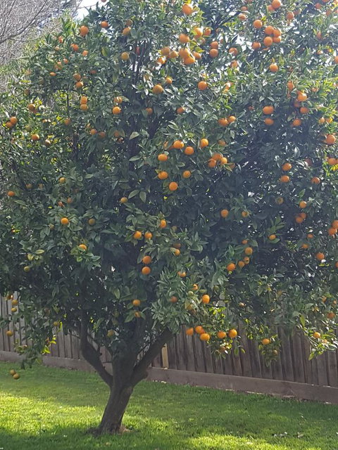 Juliet House - Accommodation Kalgoorlie 21