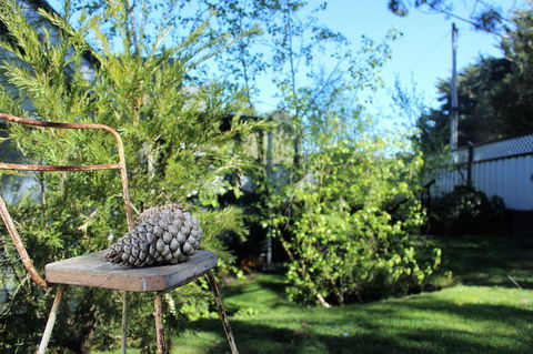 Cottage 4A - Accommodation Kalgoorlie 13