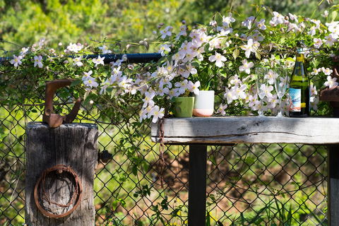 Cottage 4A - Accommodation Kalgoorlie 4