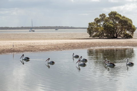 BIG4 Breeze Holiday Parks - Rainbow Beach - Accommodation Kalgoorlie 32