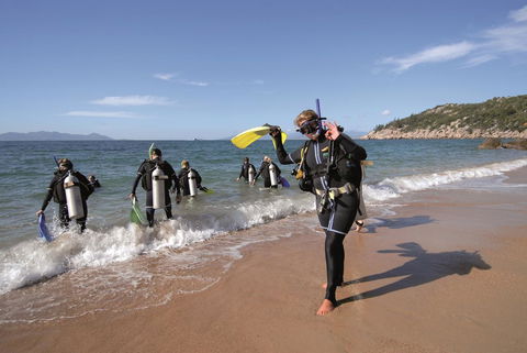 Nomads Magnetic Island - Accommodation Kalgoorlie 39