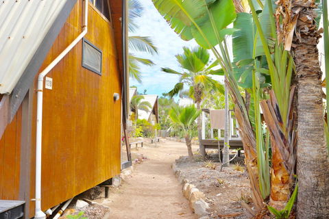 Nomads Magnetic Island - Accommodation Kalgoorlie 26