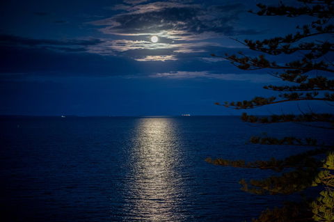 The Sebel Brisbane Margate Beach - Accommodation Kalgoorlie 10