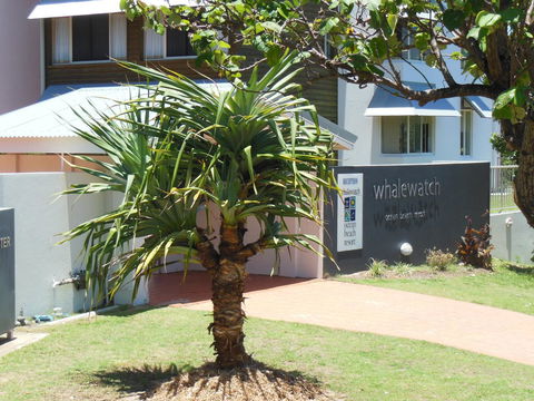 Whale Watch Ocean Beach Resort - Accommodation Kalgoorlie 15