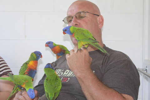 Amaroo On Mandalay, Magnetic Island - Accommodation Kalgoorlie 33
