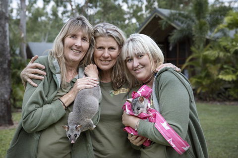 Airlie Beach Eco Cabins - Adults Only - Accommodation Kalgoorlie 23