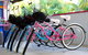 By The Sea Port Douglas - thumb 6