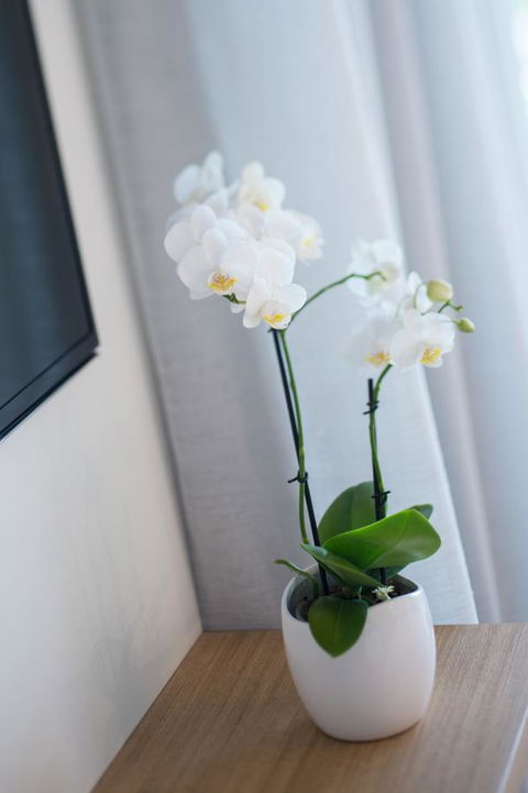 Heart Hotel And Gallery Whitsundays - Accommodation Kalgoorlie 28