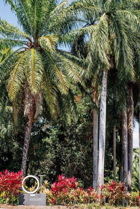 Oaks Port Douglas Resort - Accommodation Kalgoorlie 40