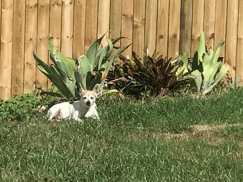 Whitsunday Luxury Homes - Accommodation Kalgoorlie 42