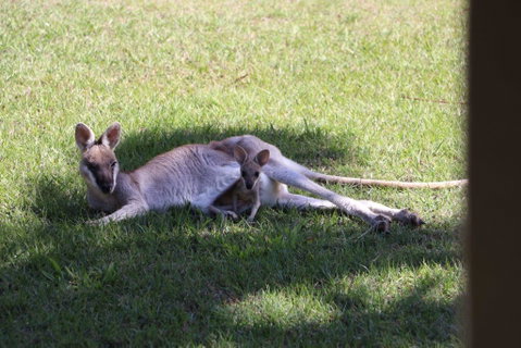 The Hideaway Agnes Water (Adults Only) - Accommodation Kalgoorlie 42