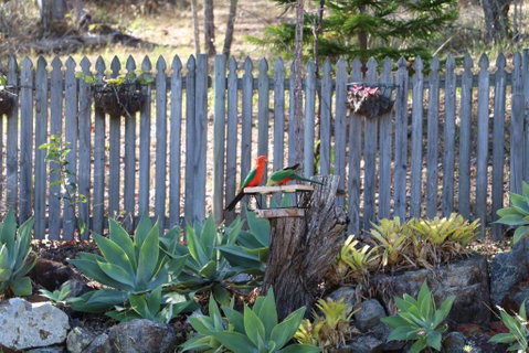 The Hideaway Agnes Water (Adults Only) - Accommodation Kalgoorlie 40
