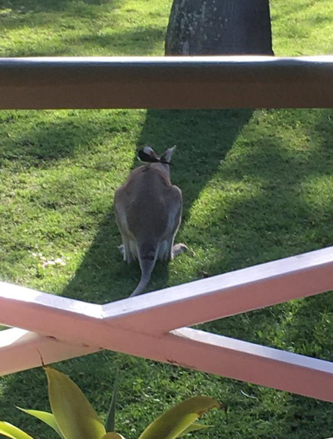 The Hideaway Agnes Water (Adults Only) - Accommodation Kalgoorlie 9