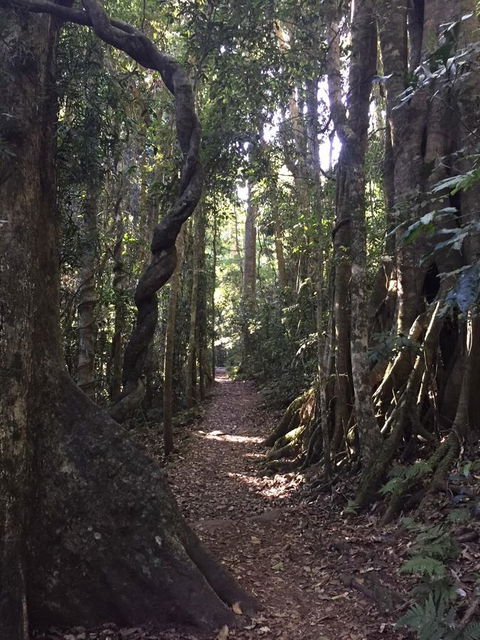 Kirra Surf Apartments - Accommodation Kalgoorlie 11