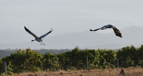 Ironbark House - Accommodation Kalgoorlie 35