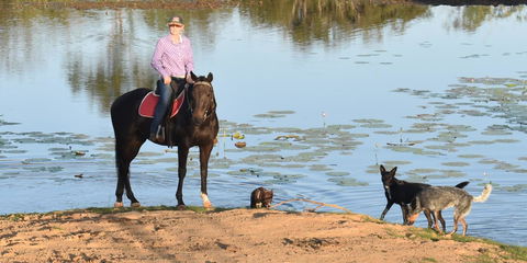 Ironbark House - Accommodation Kalgoorlie 39