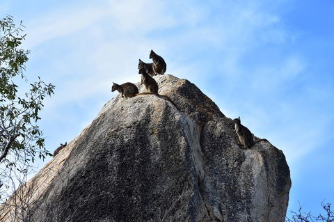 Ironbark House - Accommodation Kalgoorlie 38