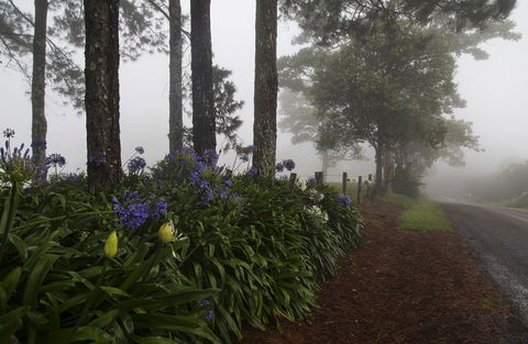 Bower 63 - Accommodation Kalgoorlie 26