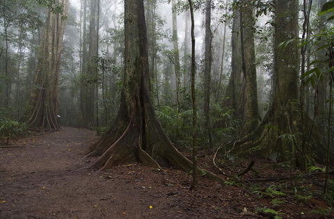 Bower 63 - Accommodation Kalgoorlie 38