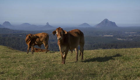 Bower 63 - Accommodation Kalgoorlie 29