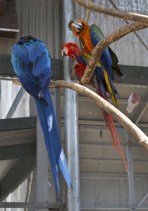 Bower 63 - Accommodation Kalgoorlie 35