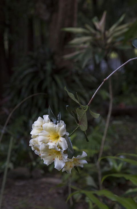 Bower 63 - Accommodation Kalgoorlie 18