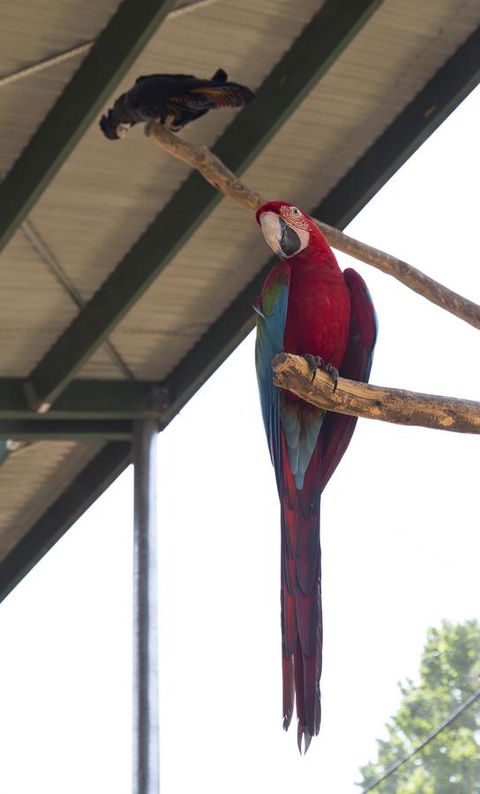 Bower 63 - Accommodation Kalgoorlie 36