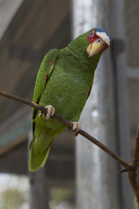 Bower 63 - Accommodation Kalgoorlie 34