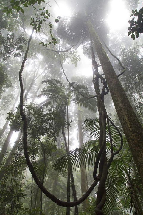 Bower 63 - Accommodation Kalgoorlie 39