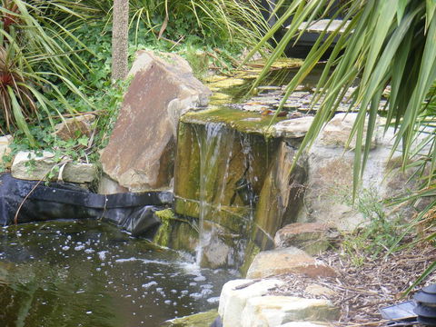 Weeroona Bed And Breakfast - Accommodation Kalgoorlie 2