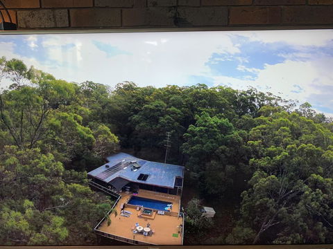 Where The Forest Meets The Sea On The Gold Coast - Accommodation Kalgoorlie 1
