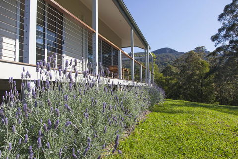 Wilderberry Cottage - Accommodation Kalgoorlie 3