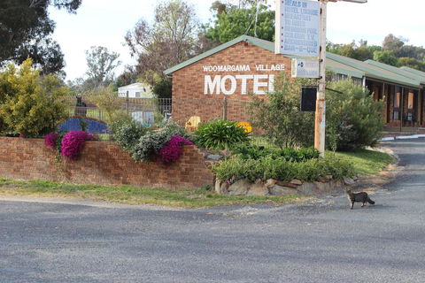 Woomargama Motel - Accommodation Kalgoorlie 3