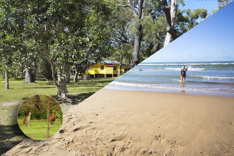 Yellow Cottage - Bush And Beach - Accommodation Kalgoorlie 0
