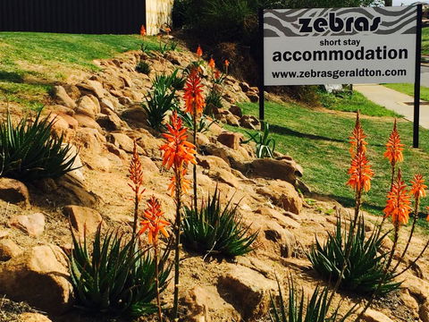 Zebras Guest House Geraldton - Accommodation Kalgoorlie 2