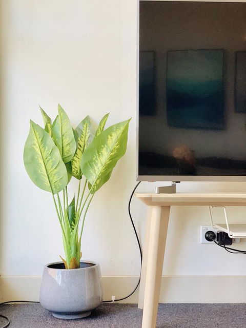 ZEN Homes On Collins - Accommodation Kalgoorlie 3