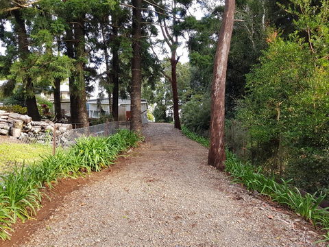 Bee-Haven Cottage - Accommodation Kalgoorlie 4