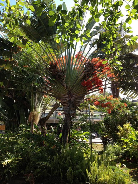 Port Douglas Apartments - Adults Only Oasis - Accommodation Kalgoorlie 39