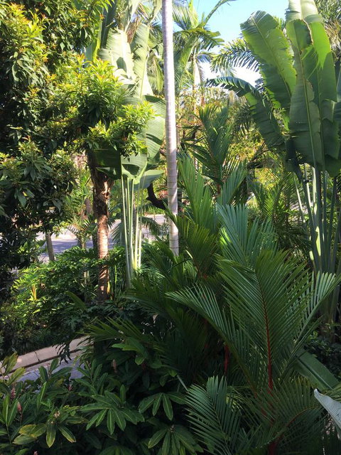 Port Douglas Apartments - Adults Only Oasis - Accommodation Kalgoorlie 1