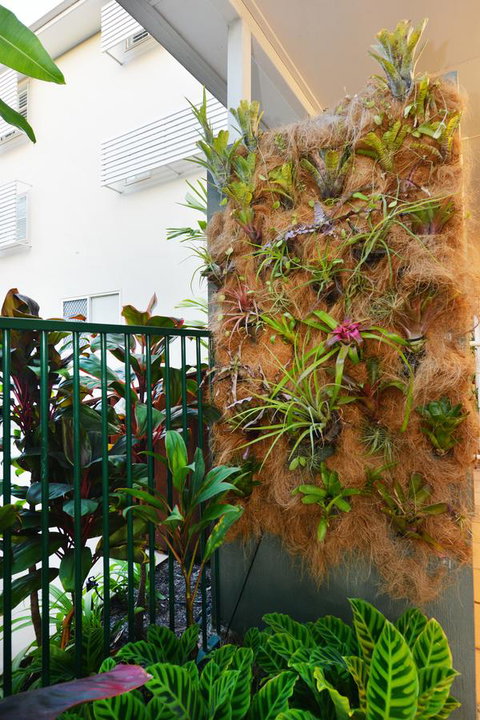 Port Douglas Apartments - Adults Only Oasis - Accommodation Kalgoorlie 27