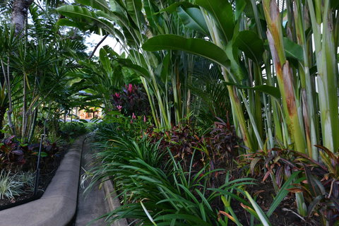 Port Douglas Apartments - Adults Only Oasis - Accommodation Kalgoorlie 9