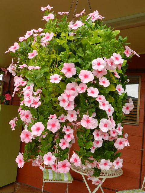 Hay Point Country BnB - Accommodation Kalgoorlie 19