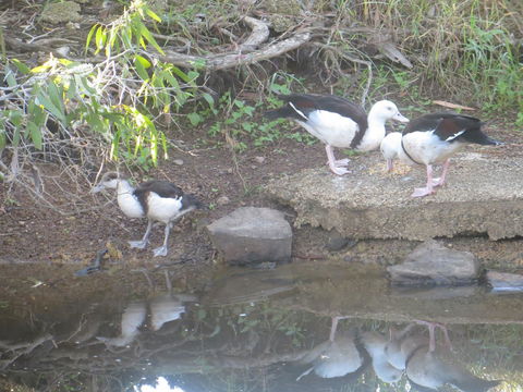 Hay Point Country BnB - Accommodation Kalgoorlie 22