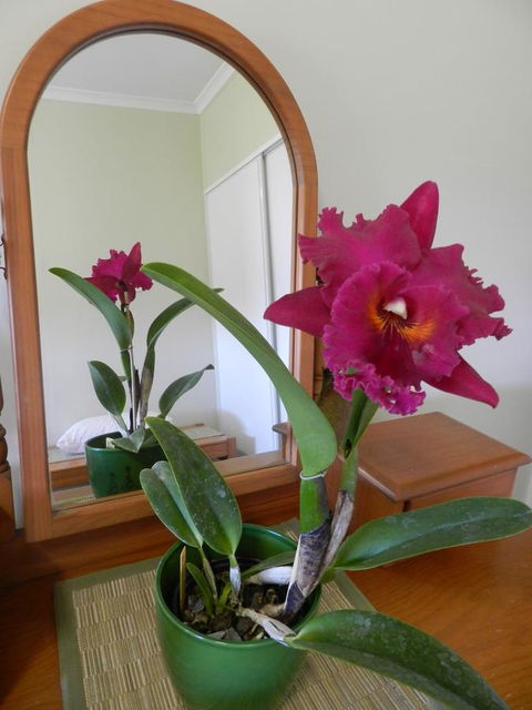 Hay Point Country BnB - Accommodation Kalgoorlie 10